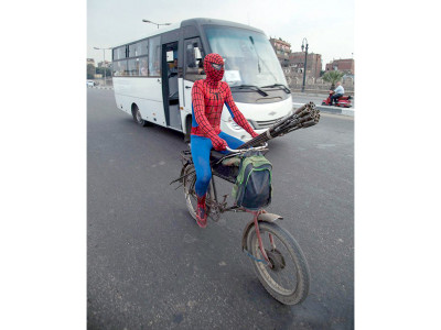 spider man spins a web on life in cairo