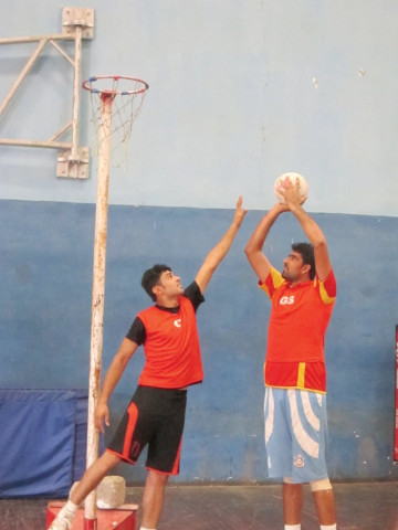 tribune tribune