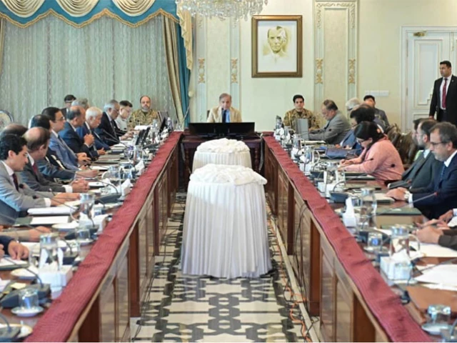federal cabinet with prime minister shehbaz sharif as the chair met in islamabad on september 10 2025 photo radio pakistan