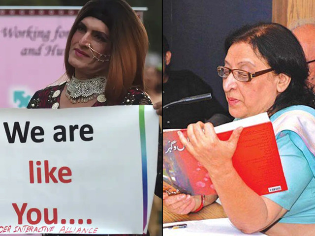 it is an interesting even provocative reflection on how the roles rights and responsibilities of the transgender have evolved over the years