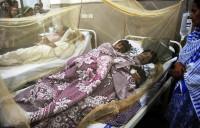 no winter respite from dengue