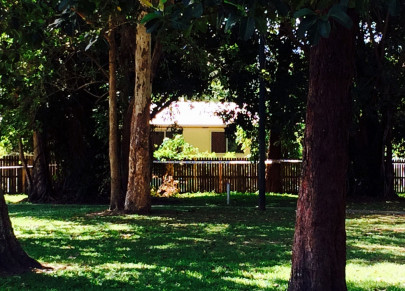 eight children found dead at australian property