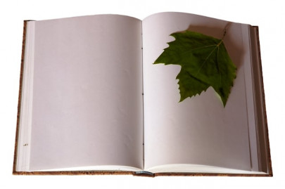 the engaging story of a bureaucrat the engaging story of a bureaucrat