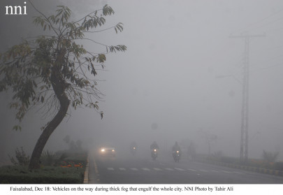 seven killed due to reduced visibility