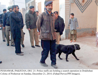 major peshawar sweep nets over 80 arrests