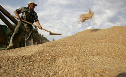 russia seeks sanctions relief in grain deal talks russia seeks sanctions relief in grain deal talks