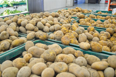 ecc meeting govt scraps 25 regulatory duties on potato export ecc meeting govt scraps 25 regulatory duties on potato export