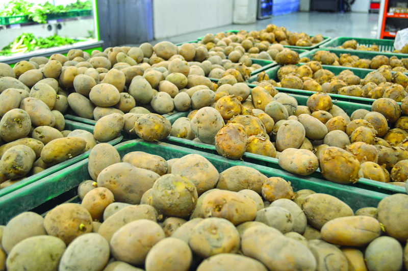 ecc meeting govt scraps 25 regulatory duties on potato export