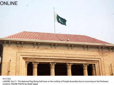 action against rogue seminaries soon