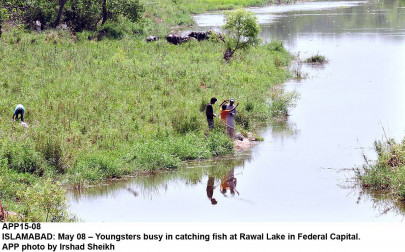 unhygienic water authorities fail to control rawal lake pollution