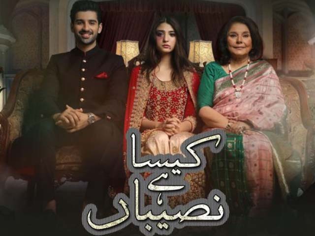 the heart wrenching drama revolves around the tragic story of a girl who finds herself trapped in an abusive marriage photo instagram ary digital