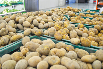 fruits and vegetables time to top russia s lucrative market fruits and vegetables time to top russia s lucrative market