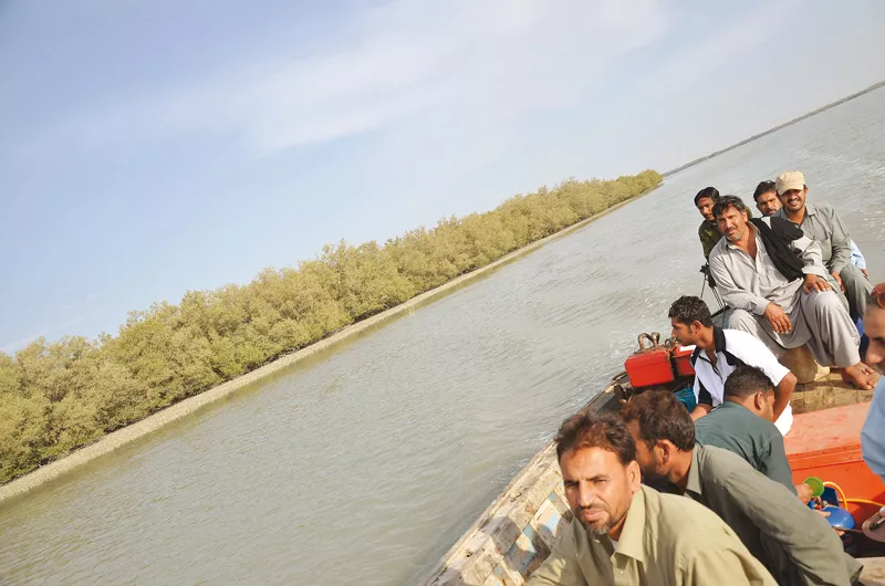 a group of hunters fishermen and tourists survey the damb mangrove forest which is home to countless species of crabs migratory birds local birds and small animals photos ameer hamza a group of hunters fishermen and tourists survey the damb mangrove forest which is home to countless species of crabs migratory birds local birds and small animals photos ameer hamza