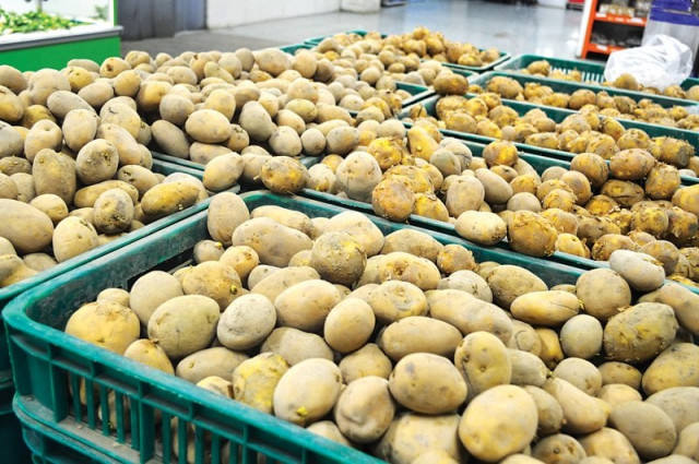 the committee allowed export of the commodity on the recommendation of the ministry of national food security and research photo fareeha mufti express the committee allowed export of the commodity on the recommendation of the ministry of national food security and research photo fareeha mufti express