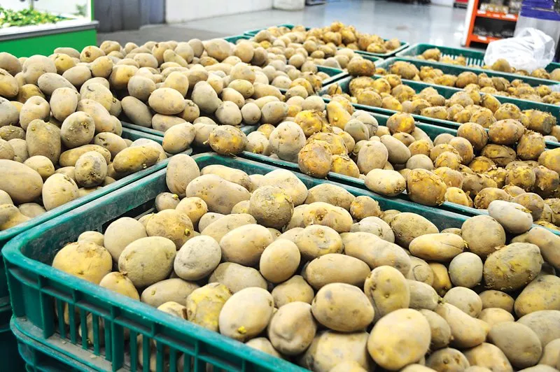 the committee allowed export of the commodity on the recommendation of the ministry of national food security and research photo fareeha mufti express the committee allowed export of the commodity on the recommendation of the ministry of national food security and research photo fareeha mufti express