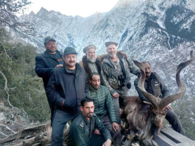 trophy hunter pays rs10 3m for markhor trophy hunter pays rs10 3m for markhor