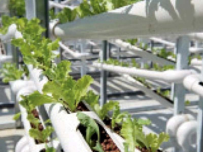 pakistan s pvc production rises pakistan s pvc production rises