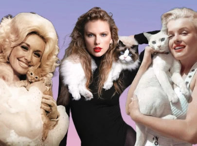 insult to empowerment