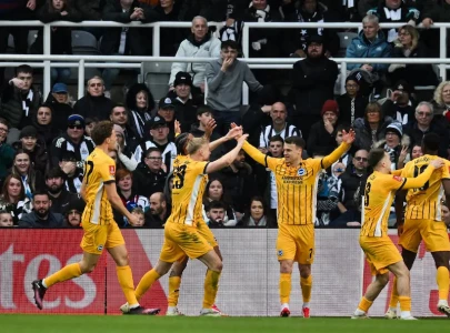 brighton in fa cup quarter finals brighton in fa cup quarter finals