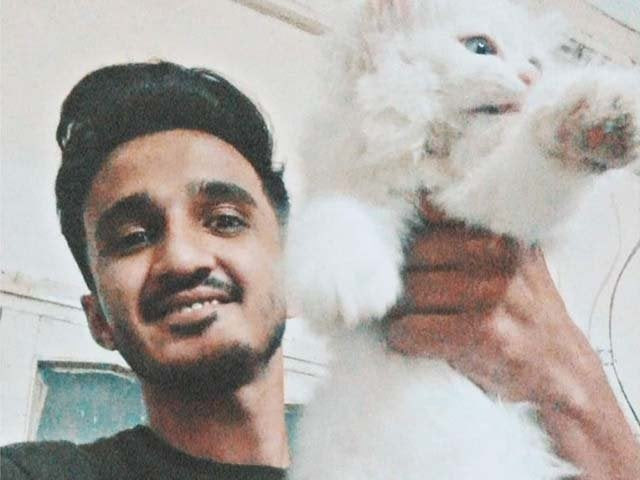 amid this spectacle of hate for fellow human beings it will perhaps be very difficult to garner empathy for a poor little kitten that was strangled to death photo jibran nasir twitter