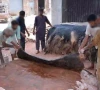 sindh tightens the screws on eidul azha hide trade