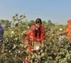 three year biotech policy drafted