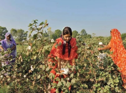 three year biotech policy drafted