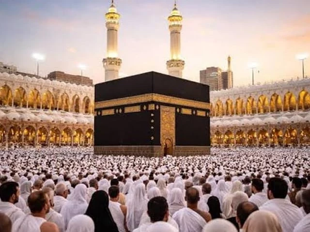 tribune tribune