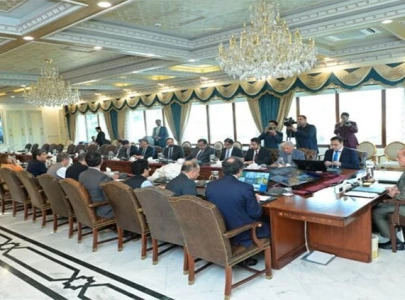 pm greenlights enactment of asaan karobar act