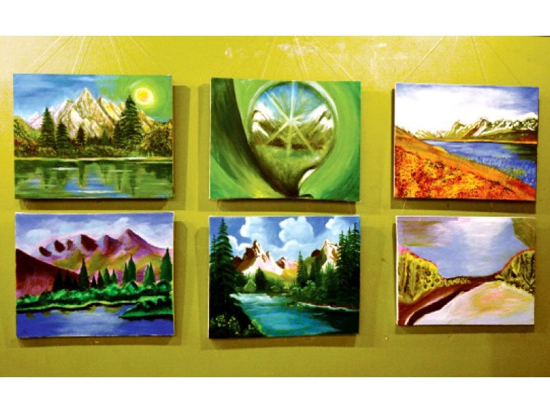 the paintings depict the country s landscapes as seen by the budding artists photo huma choudhary express