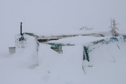 syrian actor dares assad to snow bucket challenge