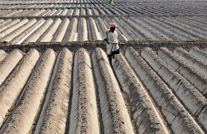 punjab agricultural secretary urged experts to sort out solutions to the agriculture problems and out of the box plans to benefit farmers and consumers as well photo afp