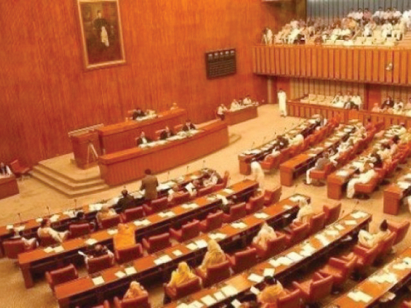 senate passed a unanimous resolution condemning the willful slander and insults hurled by a section of the french media towards islam and the core beliefs of all muslims photo express