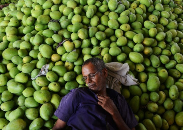 india the world 039 s largest mango exporter had threatened to drag the 28 nation eu to the world trade organisation over the quot arbitrary quot ban photo afp india the world 039 s largest mango exporter had threatened to drag the 28 nation eu to the world trade organisation over the quot arbitrary quot ban photo afp