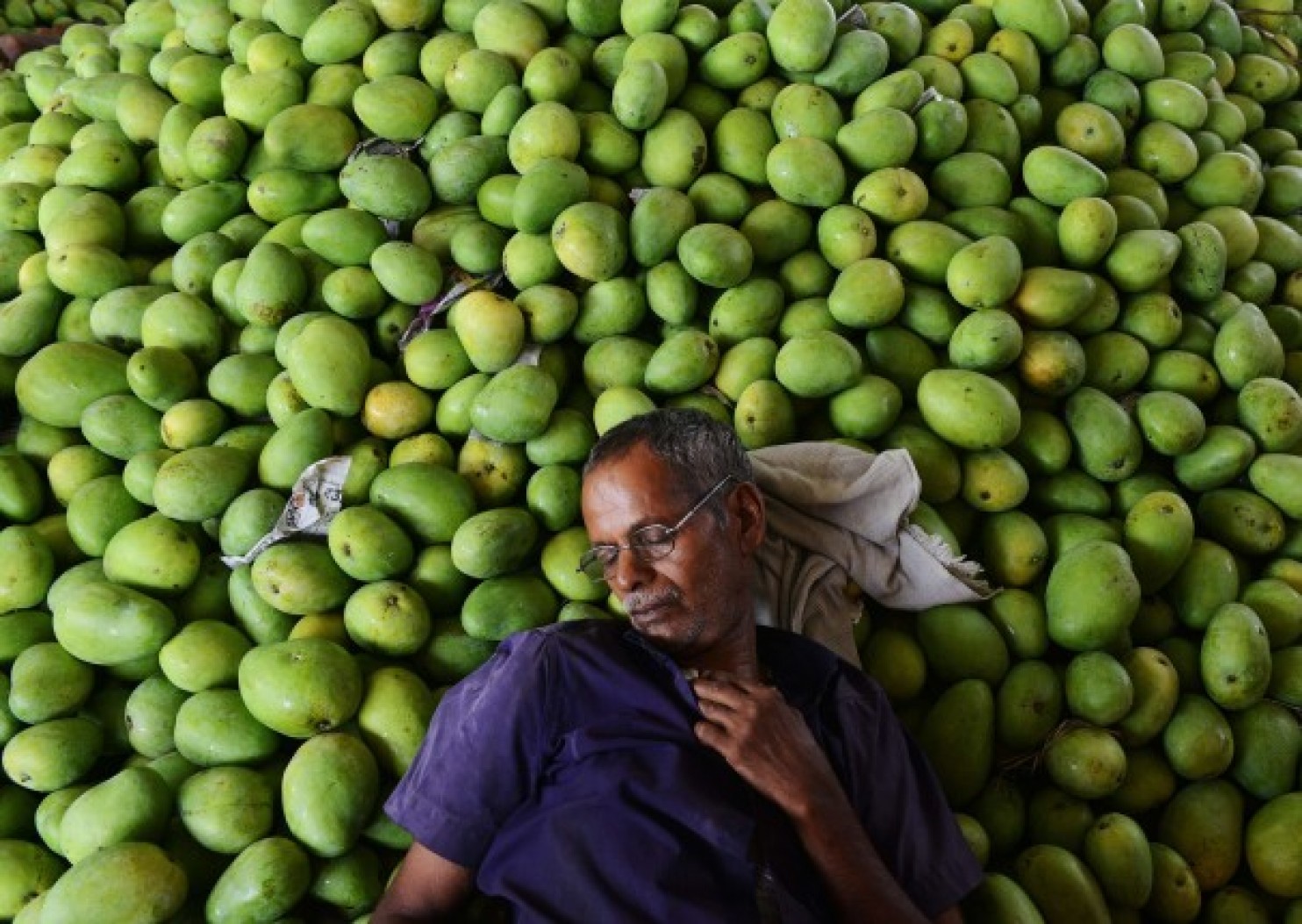 india the world 039 s largest mango exporter had threatened to drag the 28 nation eu to the world trade organisation over the quot arbitrary quot ban photo afp