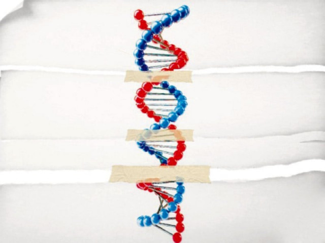 sindh sends all dna tests to islamabad as govt claims there is no facility in province sindh sends all dna tests to islamabad as govt claims there is no facility in province