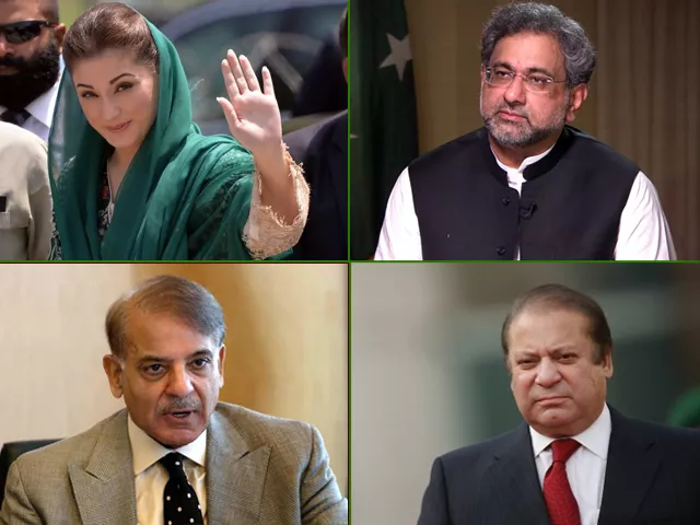 it is a good move for the pml n to bring in leadership the party can rely on while the sharif brothers are out of the picture it is a good move for the pml n to bring in leadership the party can rely on while the sharif brothers are out of the picture