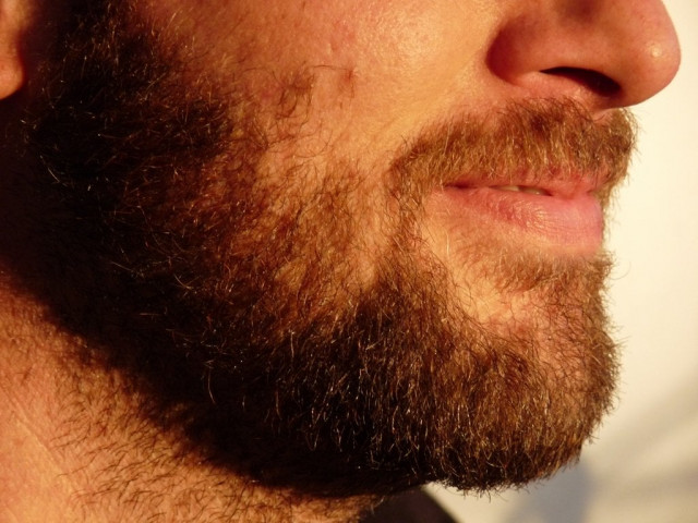 forty of the 50 us states allow prisoners to wear a trim beard arkansas is among the 10 remaining states restricting that right for security reasons stock image forty of the 50 us states allow prisoners to wear a trim beard arkansas is among the 10 remaining states restricting that right for security reasons stock image