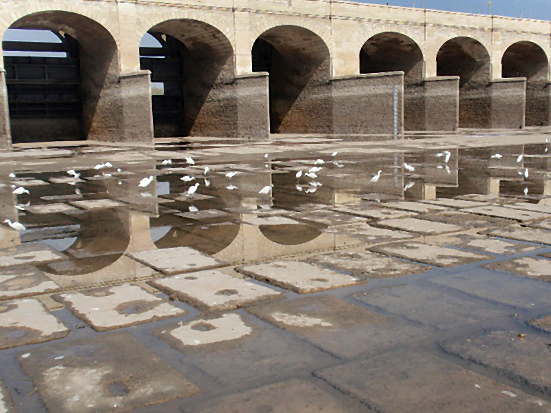 the off taking canals of the sukkur barrage which were closed on january 6 for cleaning and maintenance were opened on tuesday after 15 days photo express