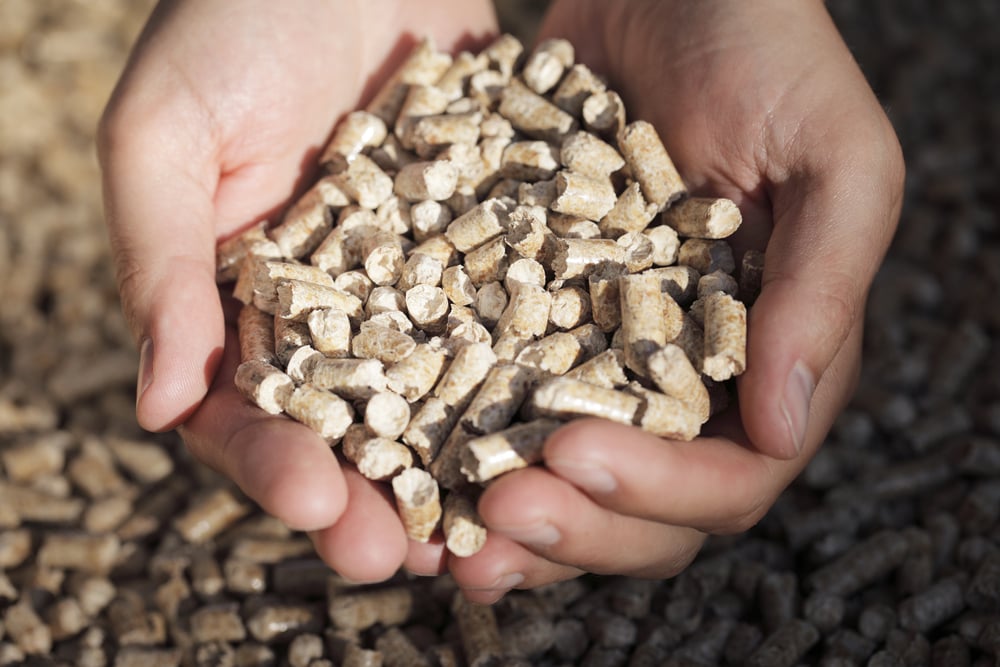 project to promote market based adoption of biomass gasification technologies for agro processing enterprises stock image