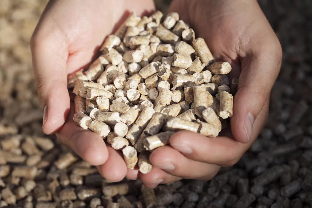 project to promote market based adoption of biomass gasification technologies for agro processing enterprises stock image project to promote market based adoption of biomass gasification technologies for agro processing enterprises stock image