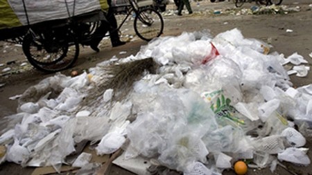 regular plastic bags are not biodegradable photo afp