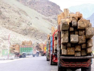 logging and consequences logging and consequences