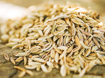 health benefits of zeera health benefits of zeera