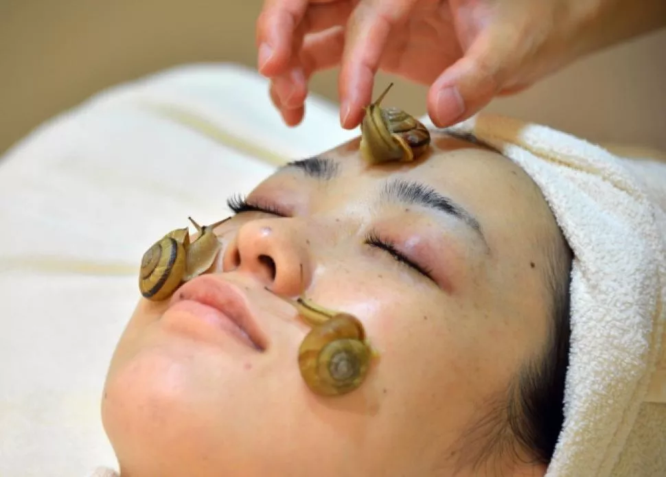 a customer receives a beauty treatment with snails photo afp a customer receives a beauty treatment with snails photo afp