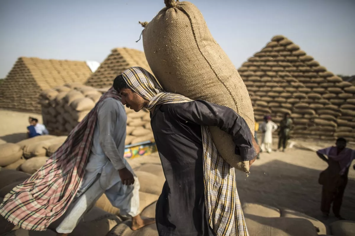 according to officials the government should have clearly defined export and import policy while keeping in view the stocks and upcoming wheat crop photo reuters