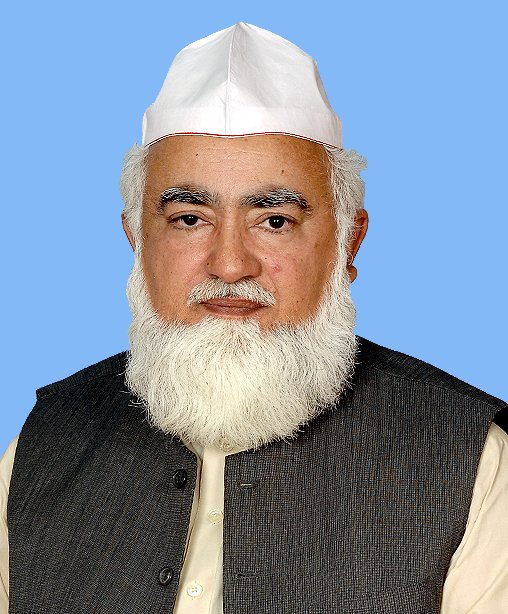 minister of state for religious affairs pir aminul hasnat shah photo www na gov pk