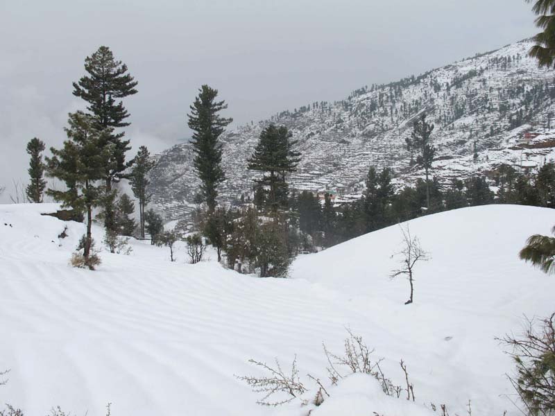 situated over 8 000 feet above sea level malam jabba is one of the most popular resorts of swat photos fazal khaliq express