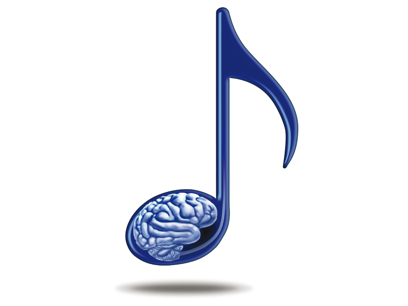 starting formal lessons on a musical instrument prior to age 14 appears to enhance key areas in the brain stock image