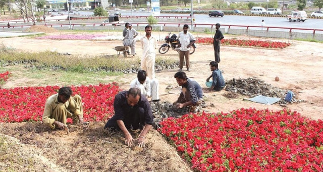 mustafain kazmi said on friday that the civic body has laid multi coloured flowerbeds on medians and roadsides photo express file